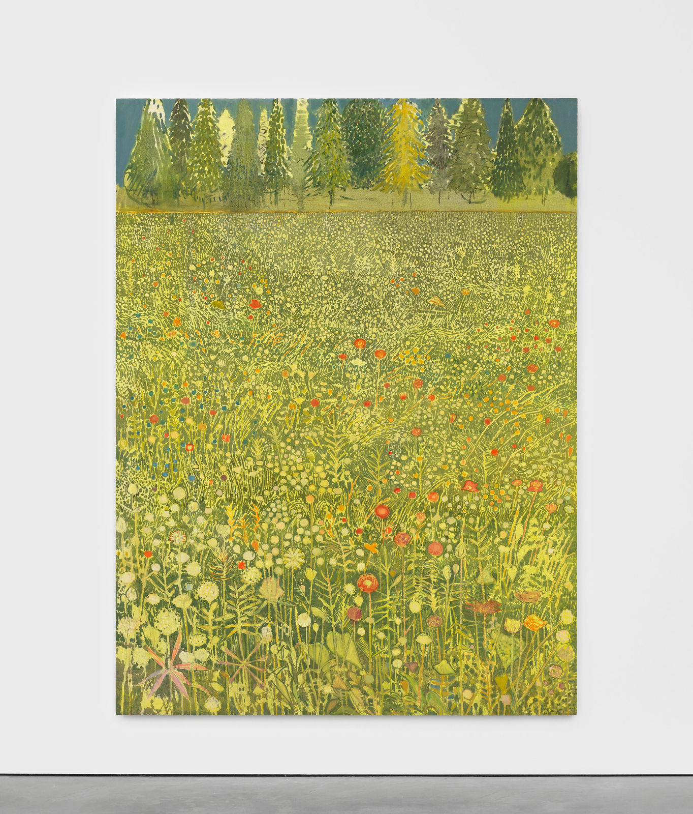 Sky Glabush, Wildflower Field, 2025