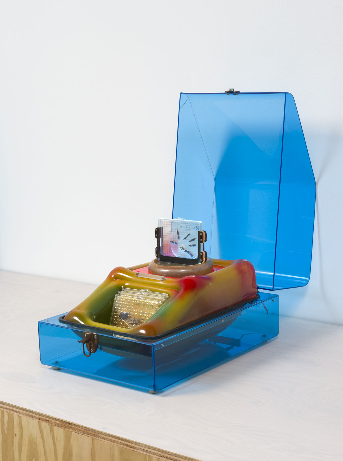 Carl Cheng, Specimen Viewer No. 1, 1970