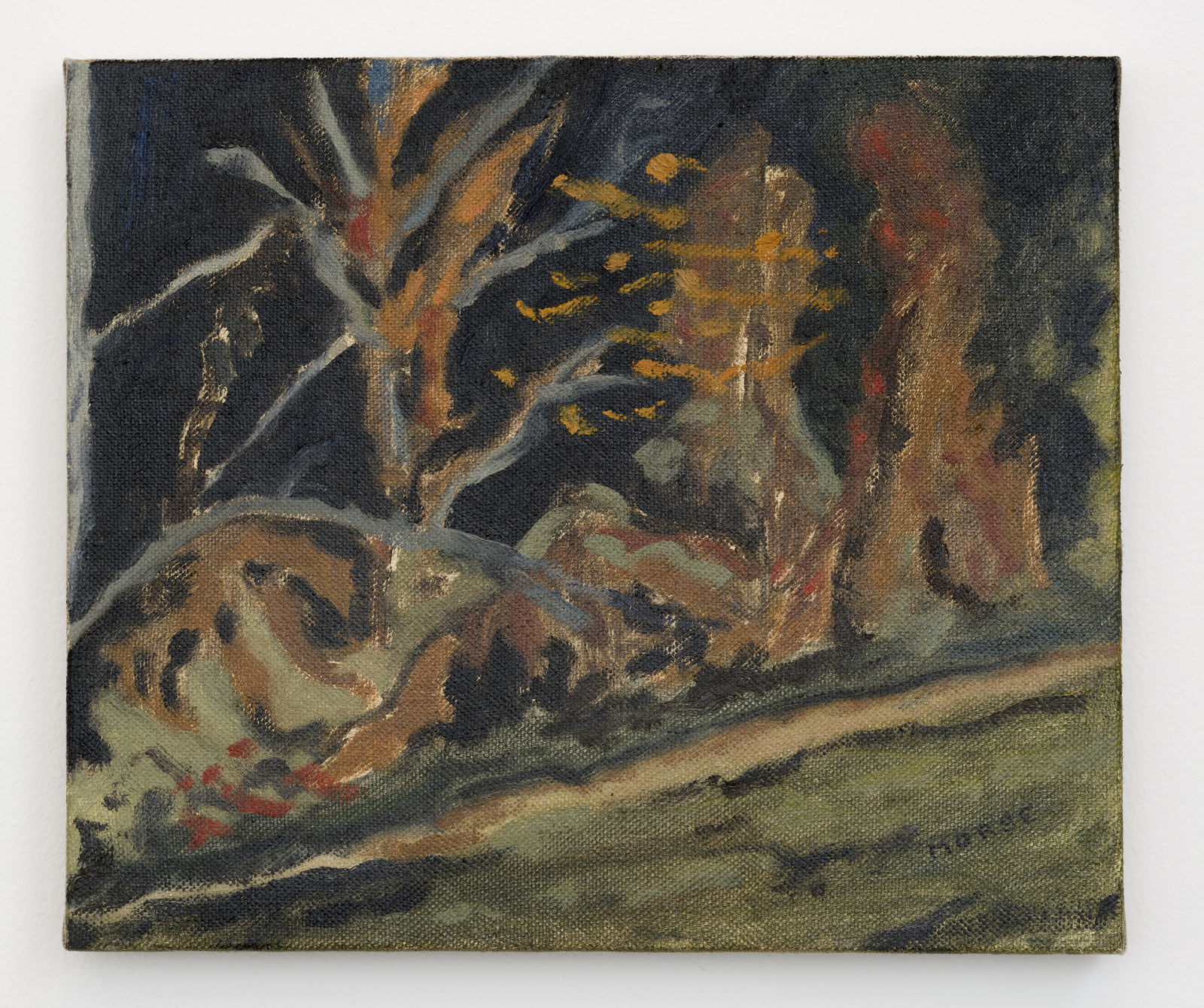 James Morse, Bittersweet Cloak, 2022