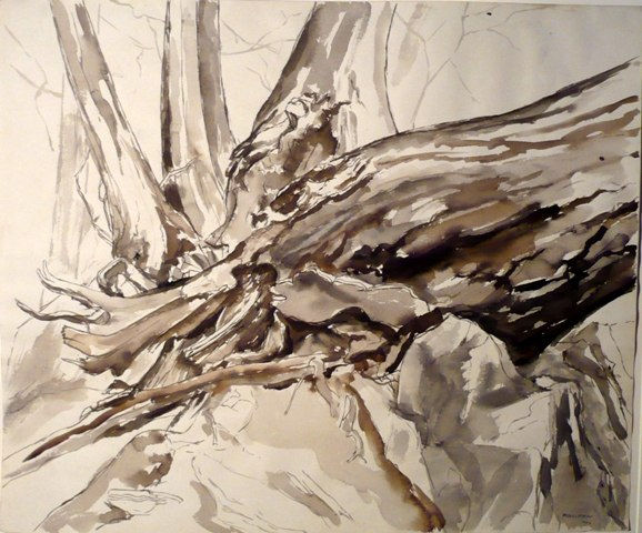 Philip Pearlstein, Study for Oil Painting "Fallen Tree", 1956