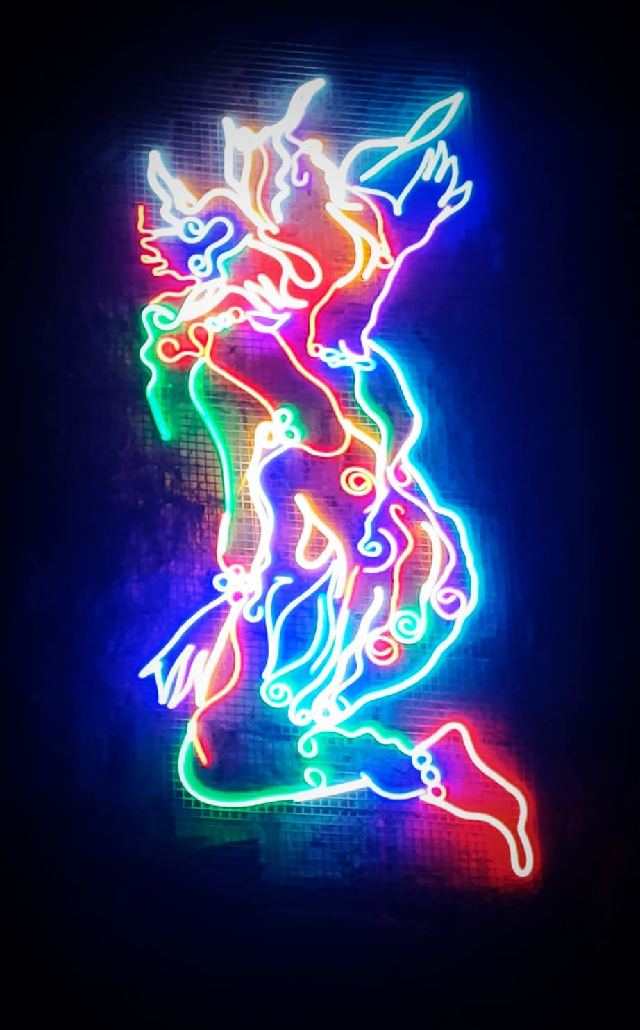 Chila Kumari Singh Burman, Shotokan Self-Portrait Kick