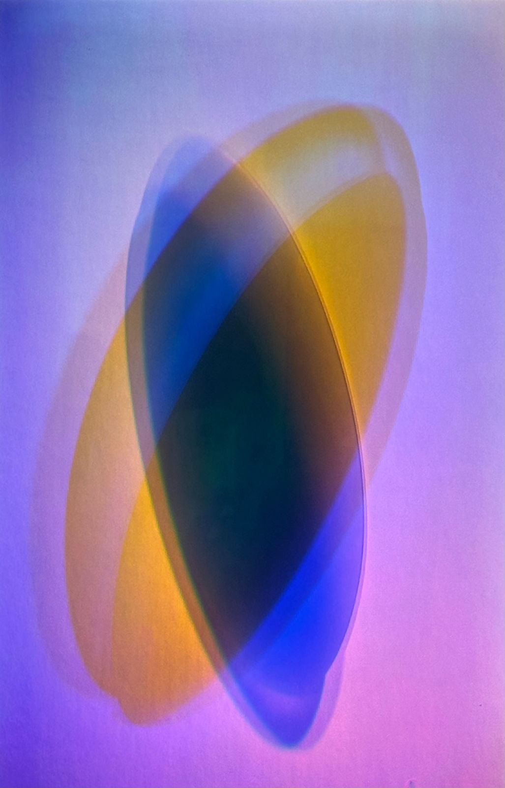 August Muth, Light Within Our Shadows, 2025