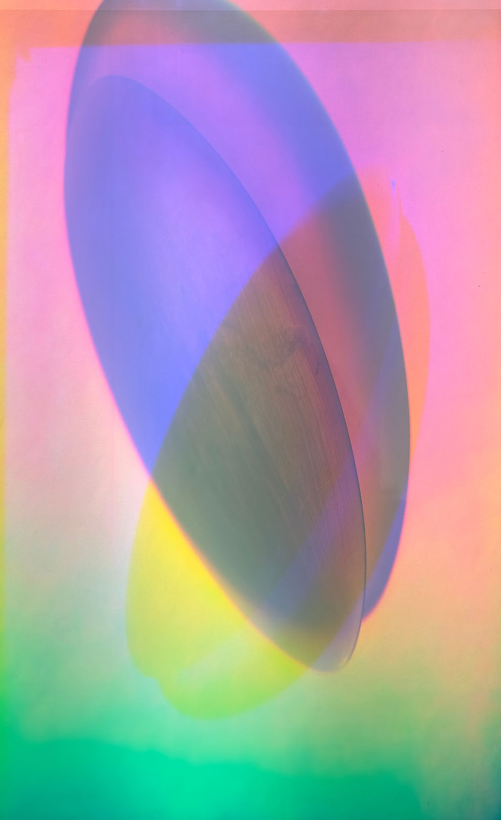 August Muth, Shadow Within Light, 2024