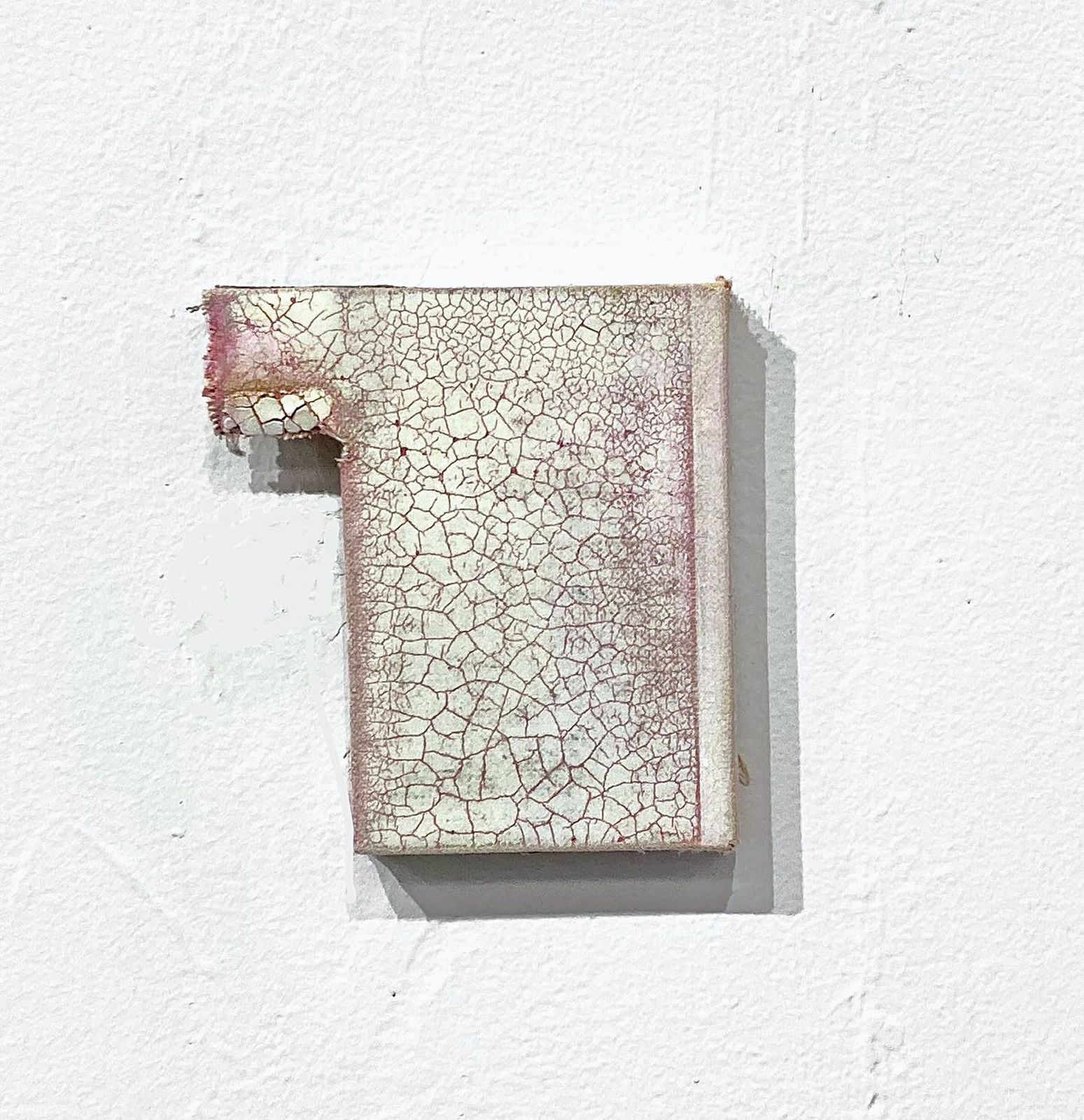 Ben Dallas 2021 Tortured By Group Dynamics BD008