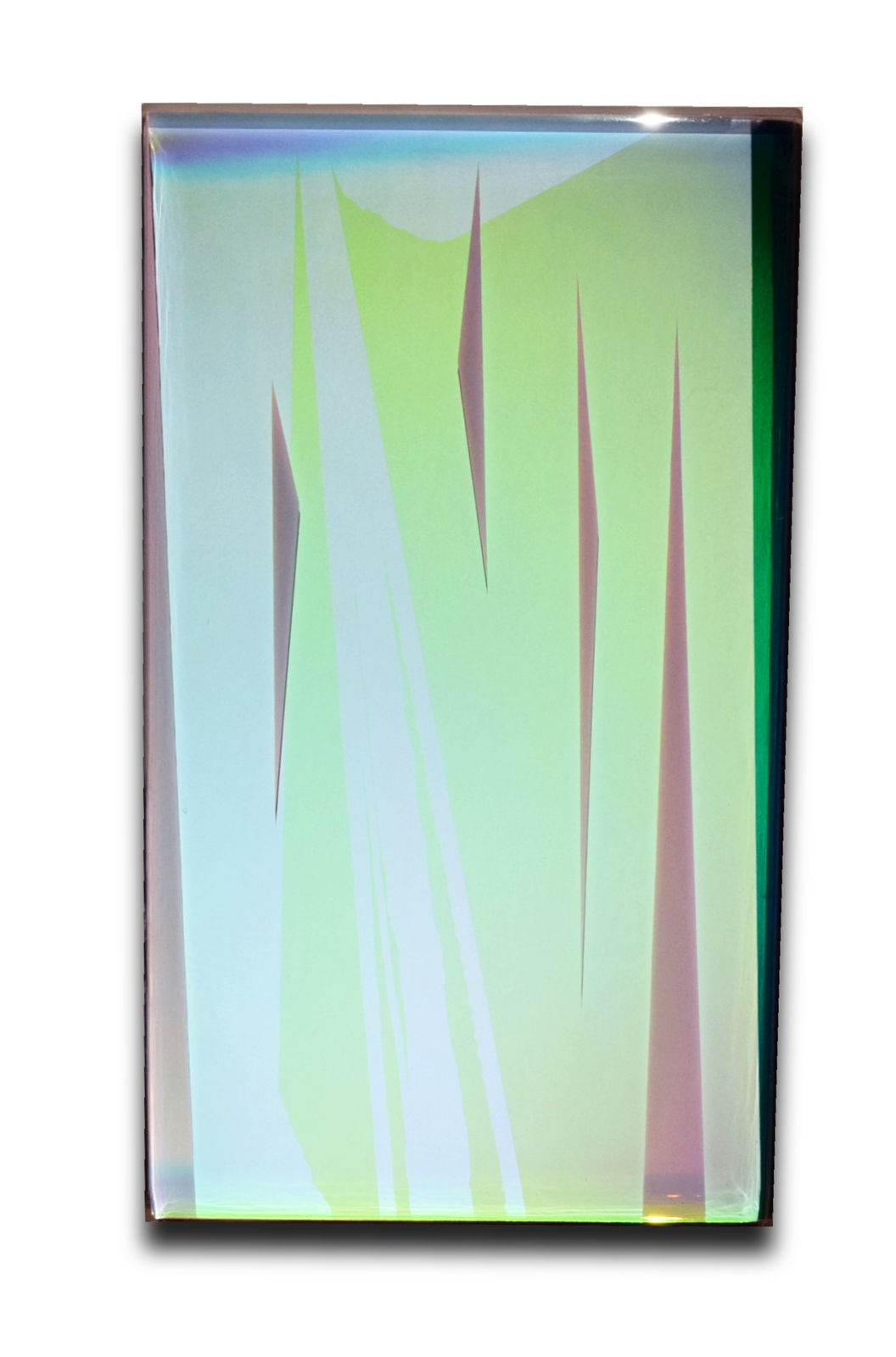 August Muth, Arctic Ebb, 2019