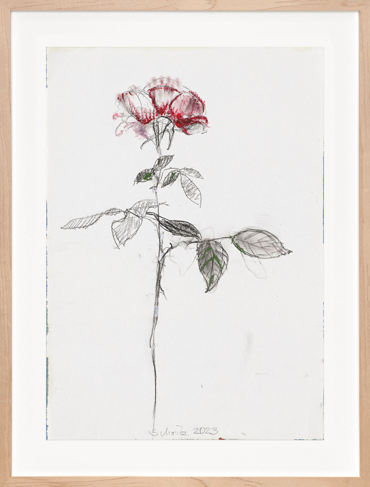 Sabine Moritz, Rose 54, 2023