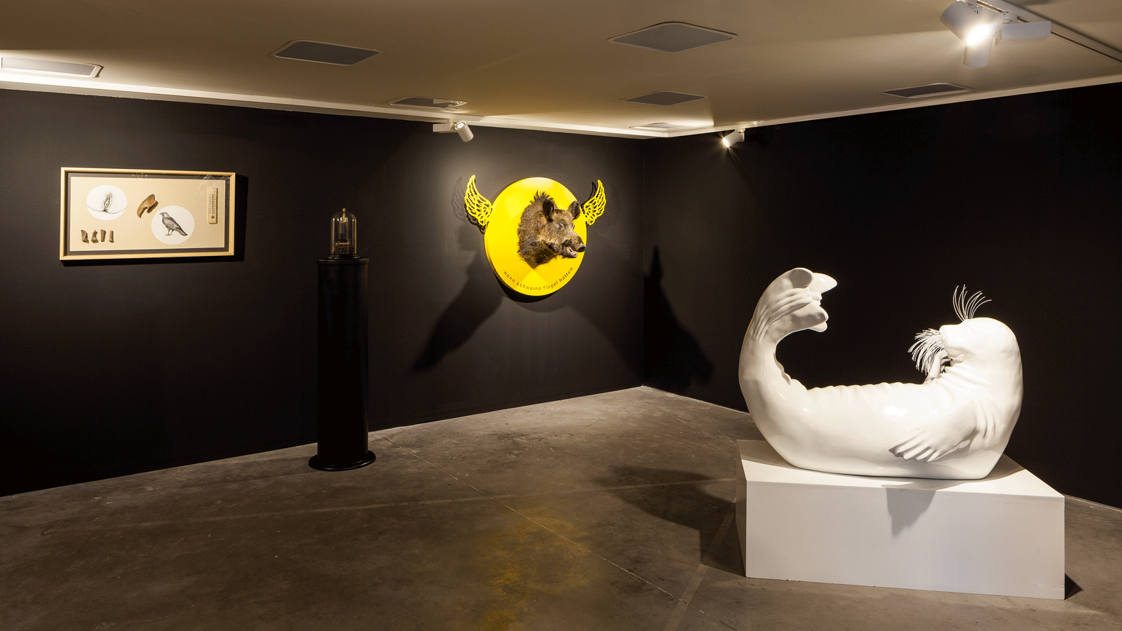 TAYFUN SERTTAŞ, Le Musée d’Histoire Naturelle de Constantinople, 2015