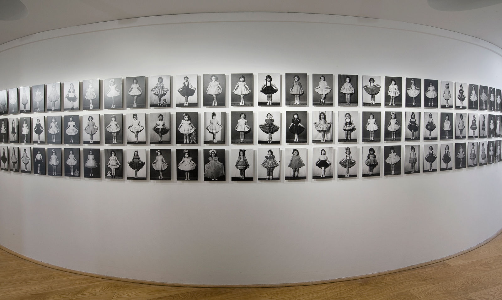 TAYFUN SERTTAŞ, Butterfly Collection, 2012