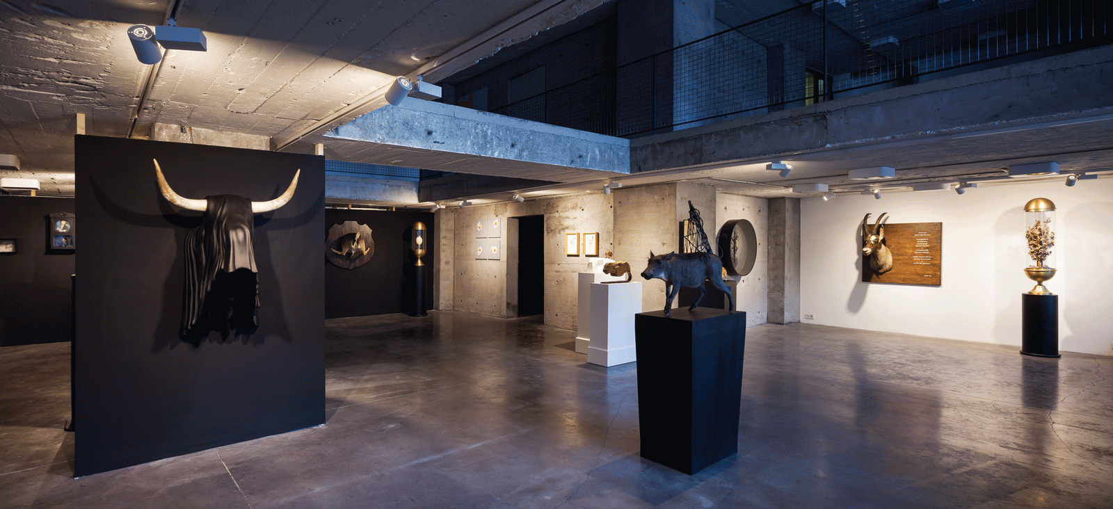 TAYFUN SERTTAŞ, Le Musée d’Histoire Naturelle de Constantinople, 2015