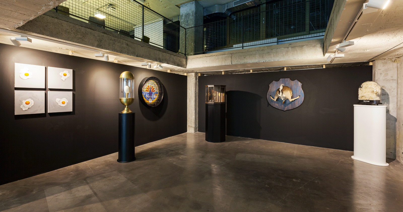 TAYFUN SERTTAŞ, Le Musée d’Histoire Naturelle de Constantinople, 2015