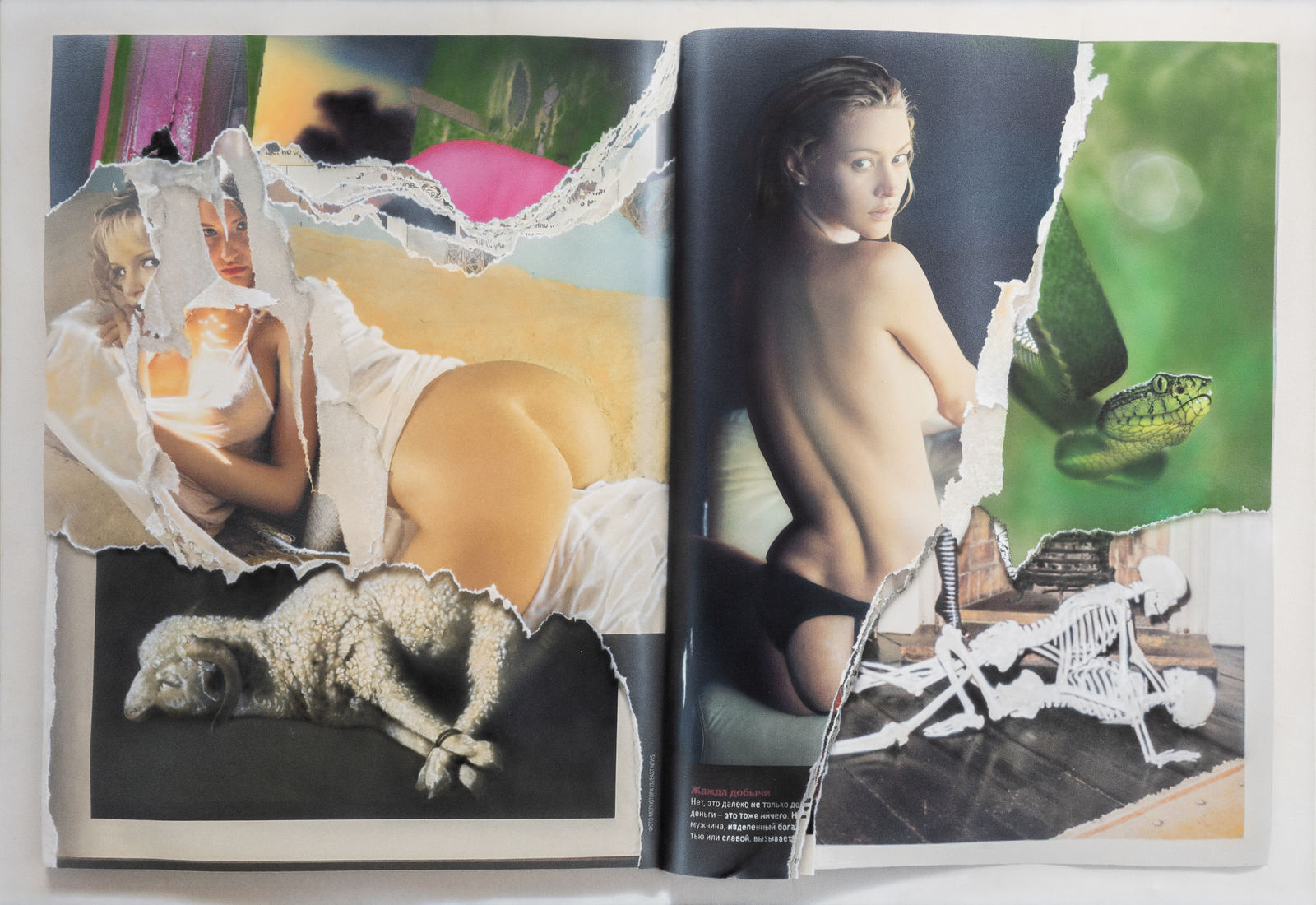 RASİM AKSAN, Sin, Purity, Sacrifice, 2017