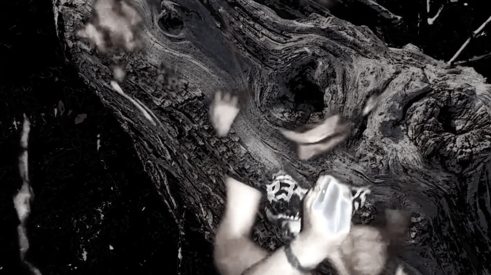 ALİ EMİR TAPAN, We Are Seeds That Sprout Aır, 2017