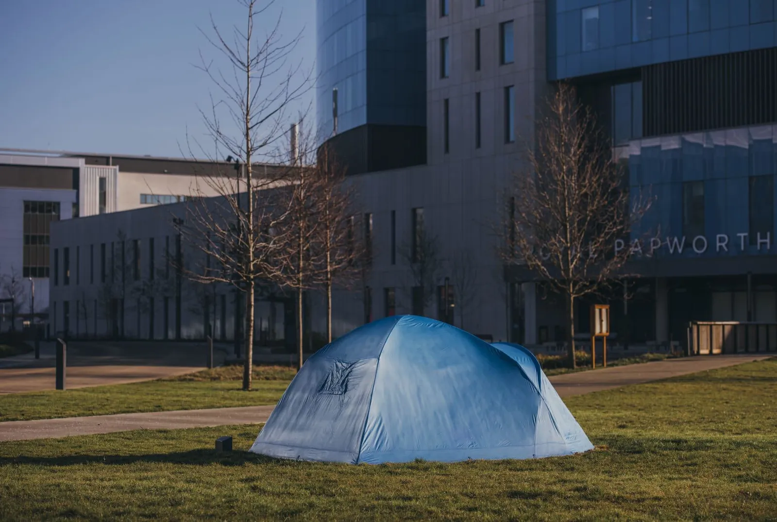 RYAN GANDER, The Green & The Gardens, 2019