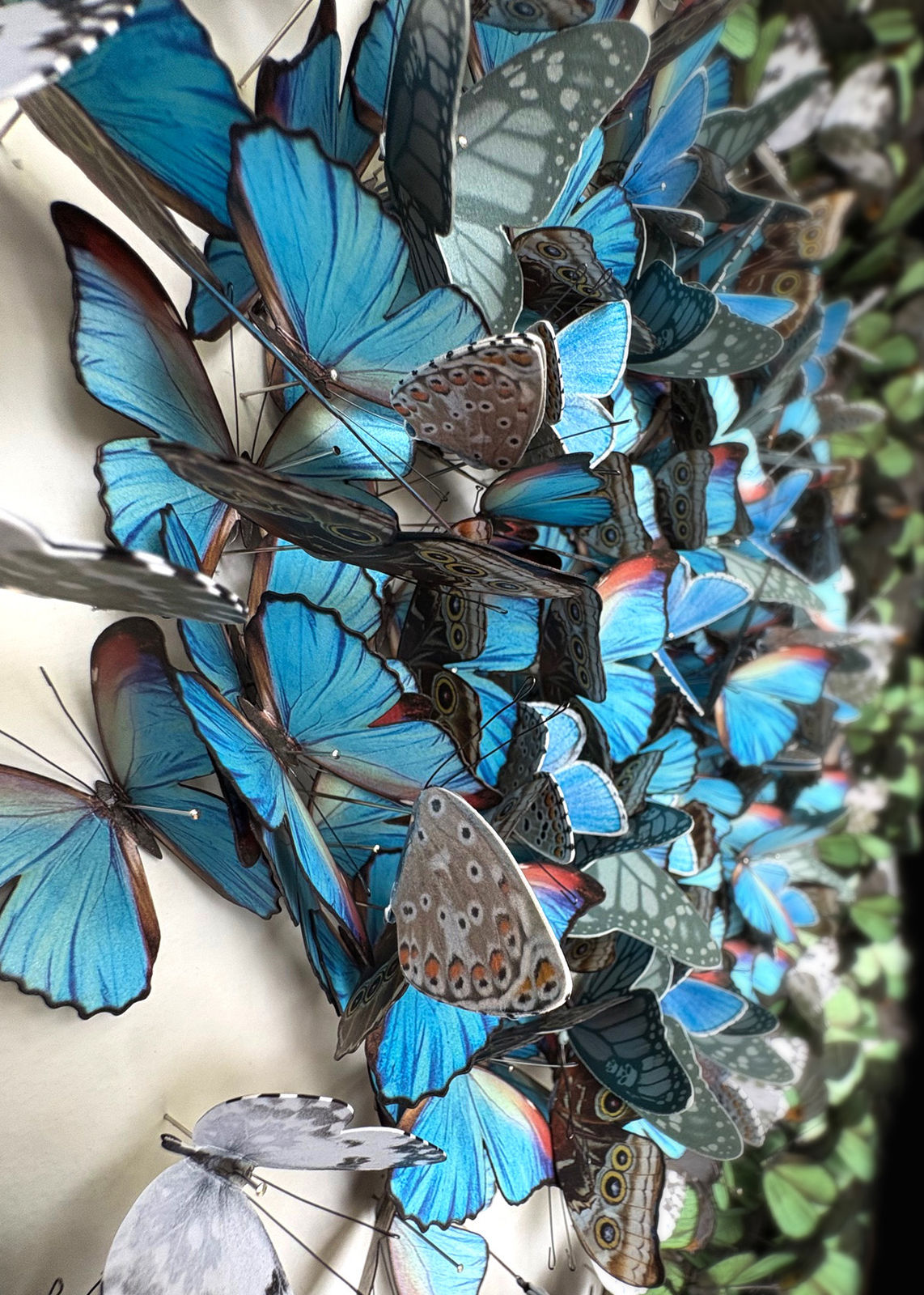 Daniel Byrne, Blue in Green