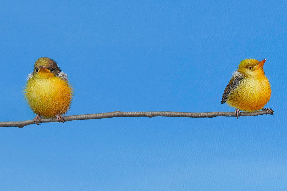 Lilia Mazurkevich, "Hmph", *LOW IN EDITION*