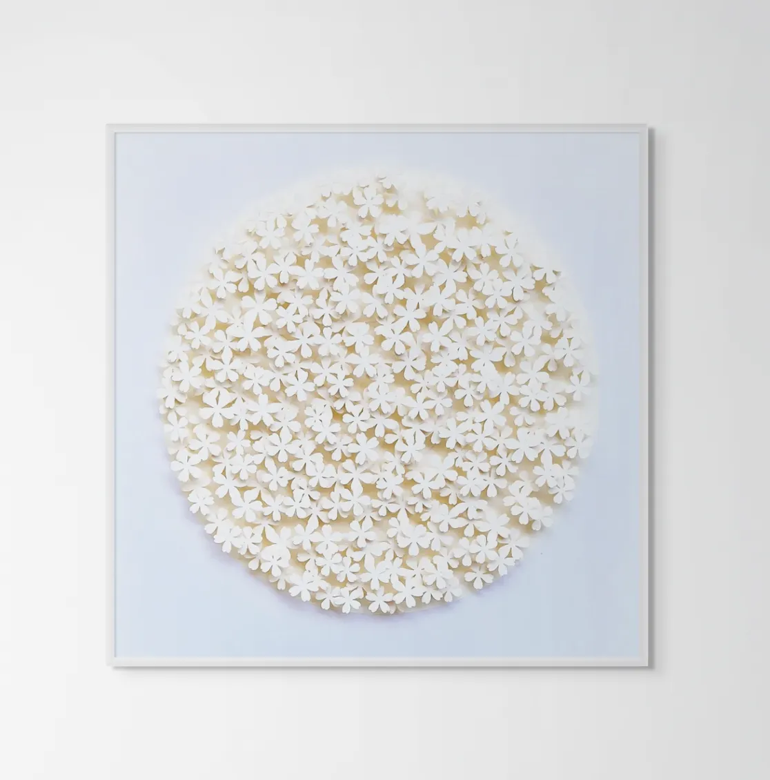 Graham Gosling, Kyujutsu Jasmine 289 YA