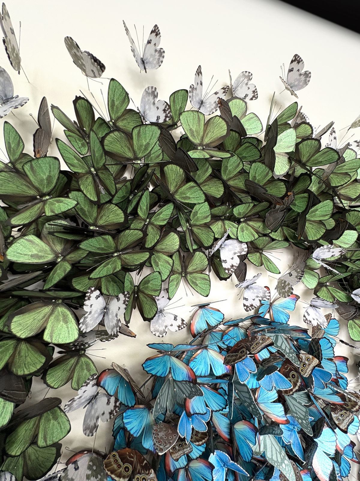 Daniel Byrne, Blue in Green