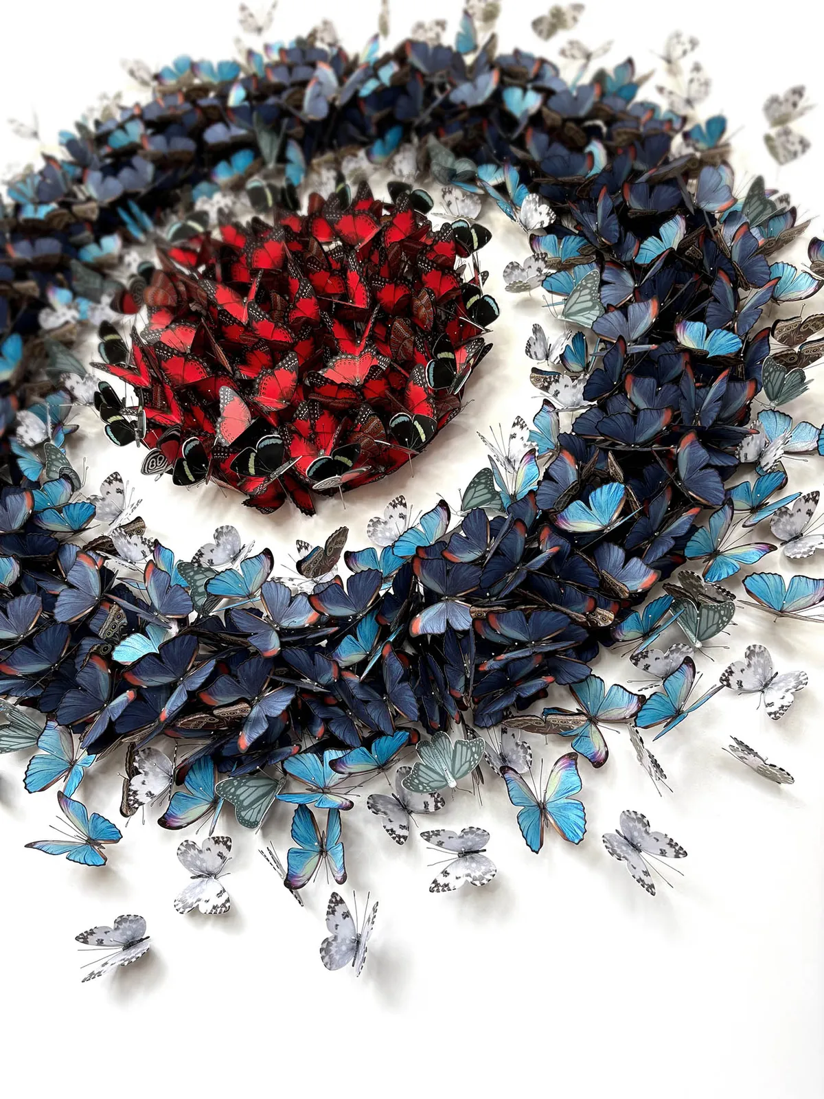 Daniel Byrne, Behind Blue Eyes