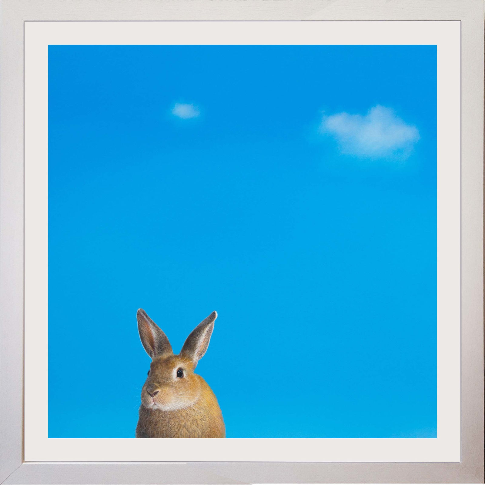 Lilia Mazurkevich, Pamela, LIMITED EDITION