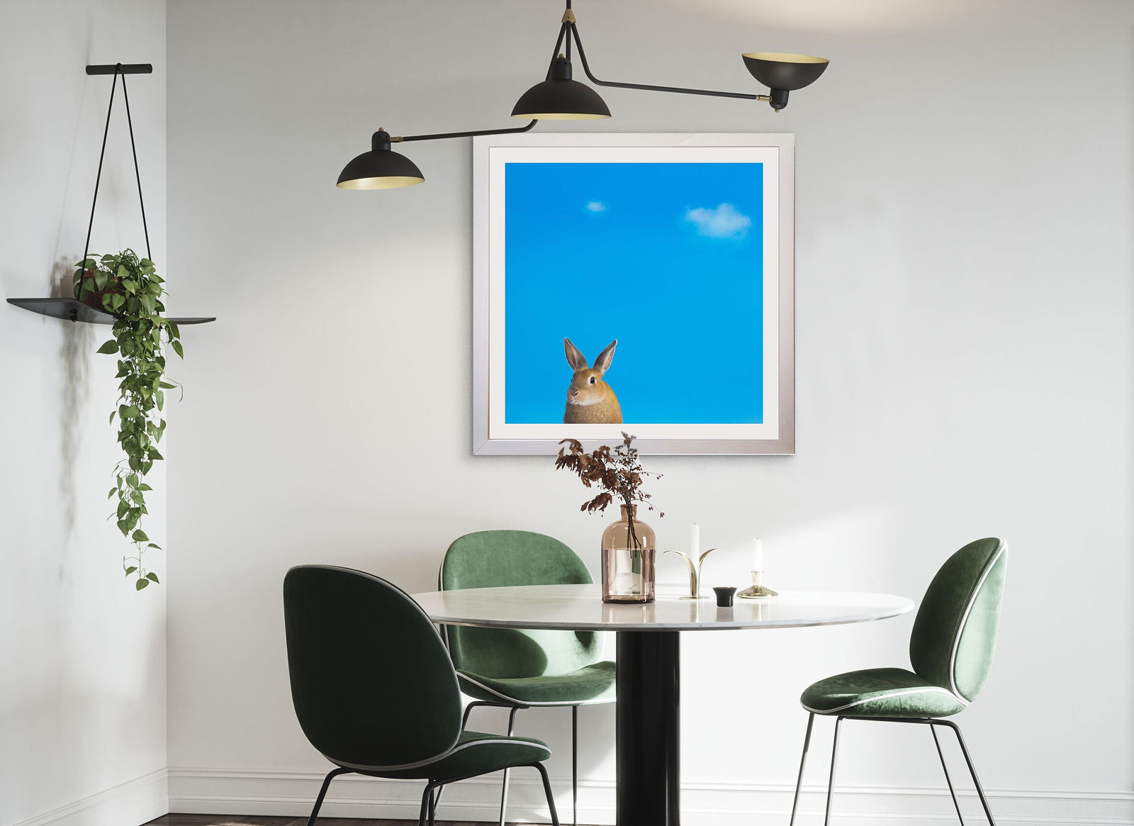 Lilia Mazurkevich, Pamela, LIMITED EDITION