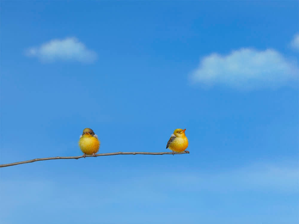 Lilia Mazurkevich, "Hmph", *LOW IN EDITION*