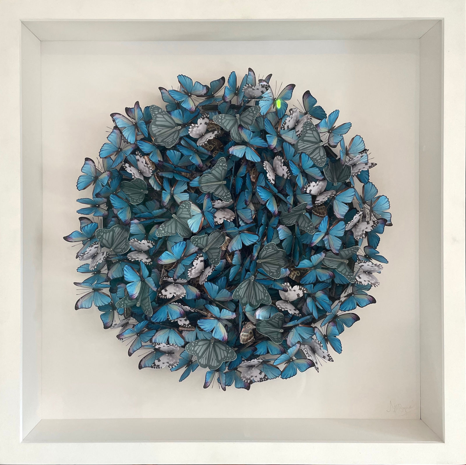 Daniel Byrne, Cluster in Blue