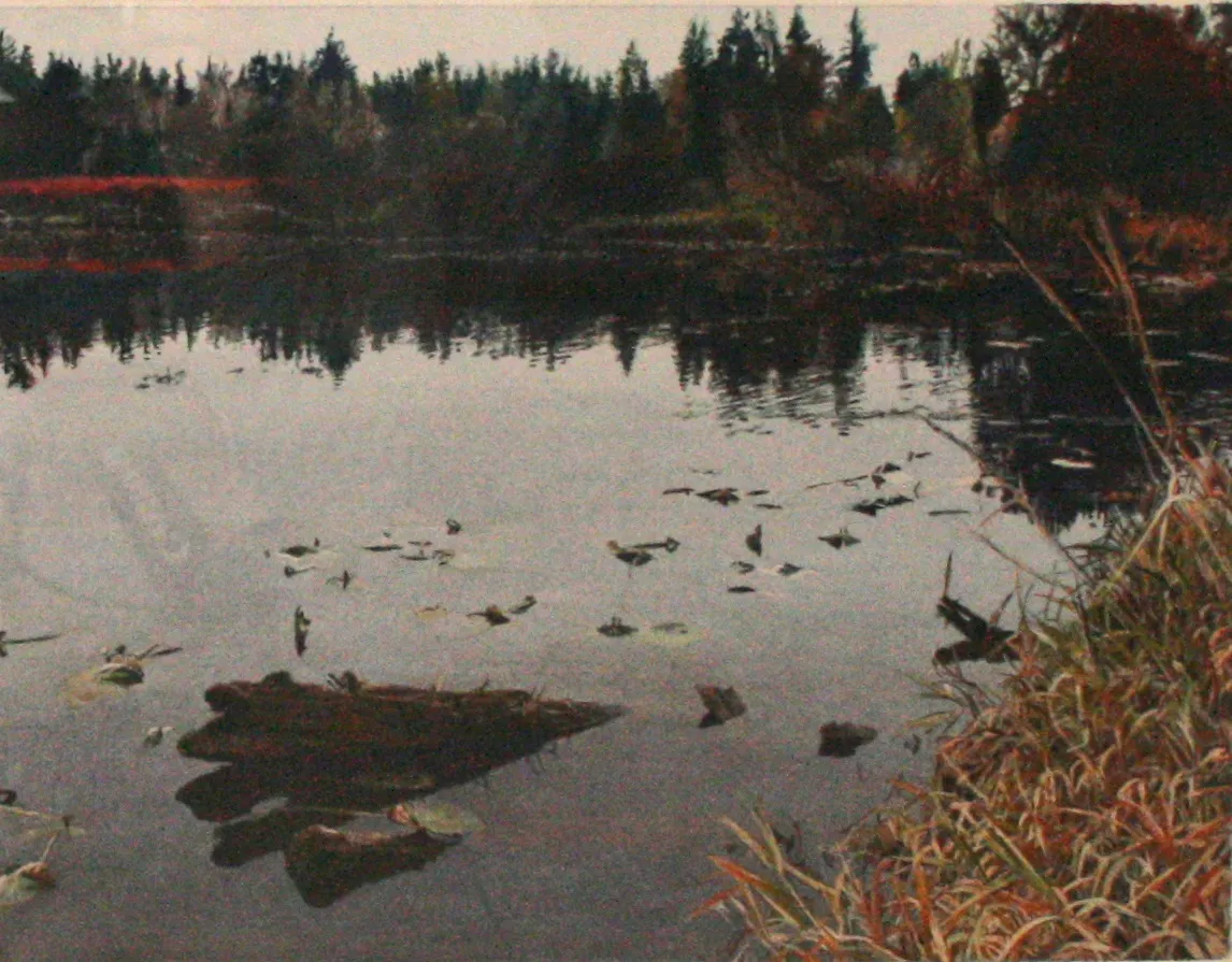 Back At Blueberry Lake