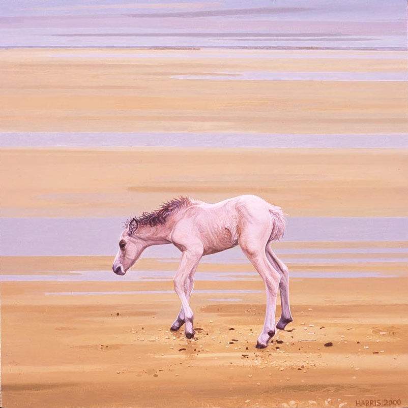 Foal 1, 2001