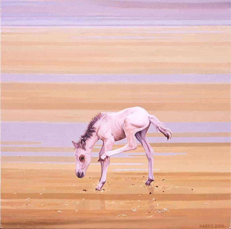 Foal 2, 2001