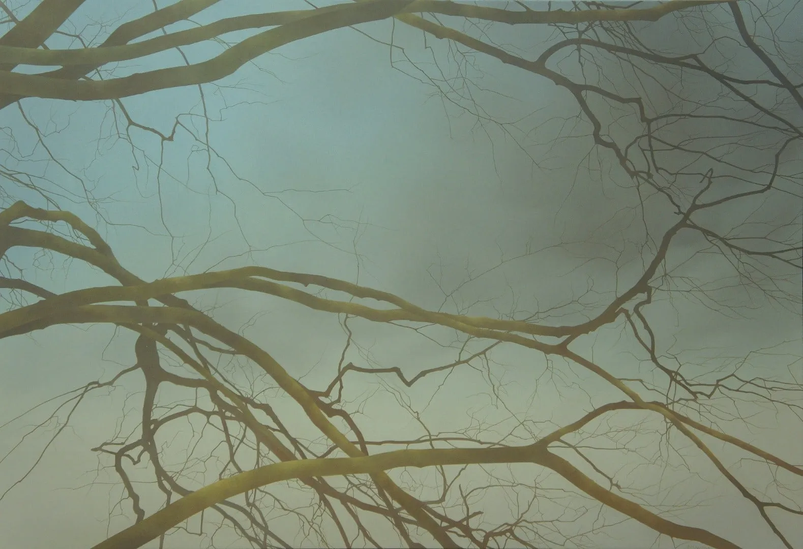 Johan Abeling, Branches