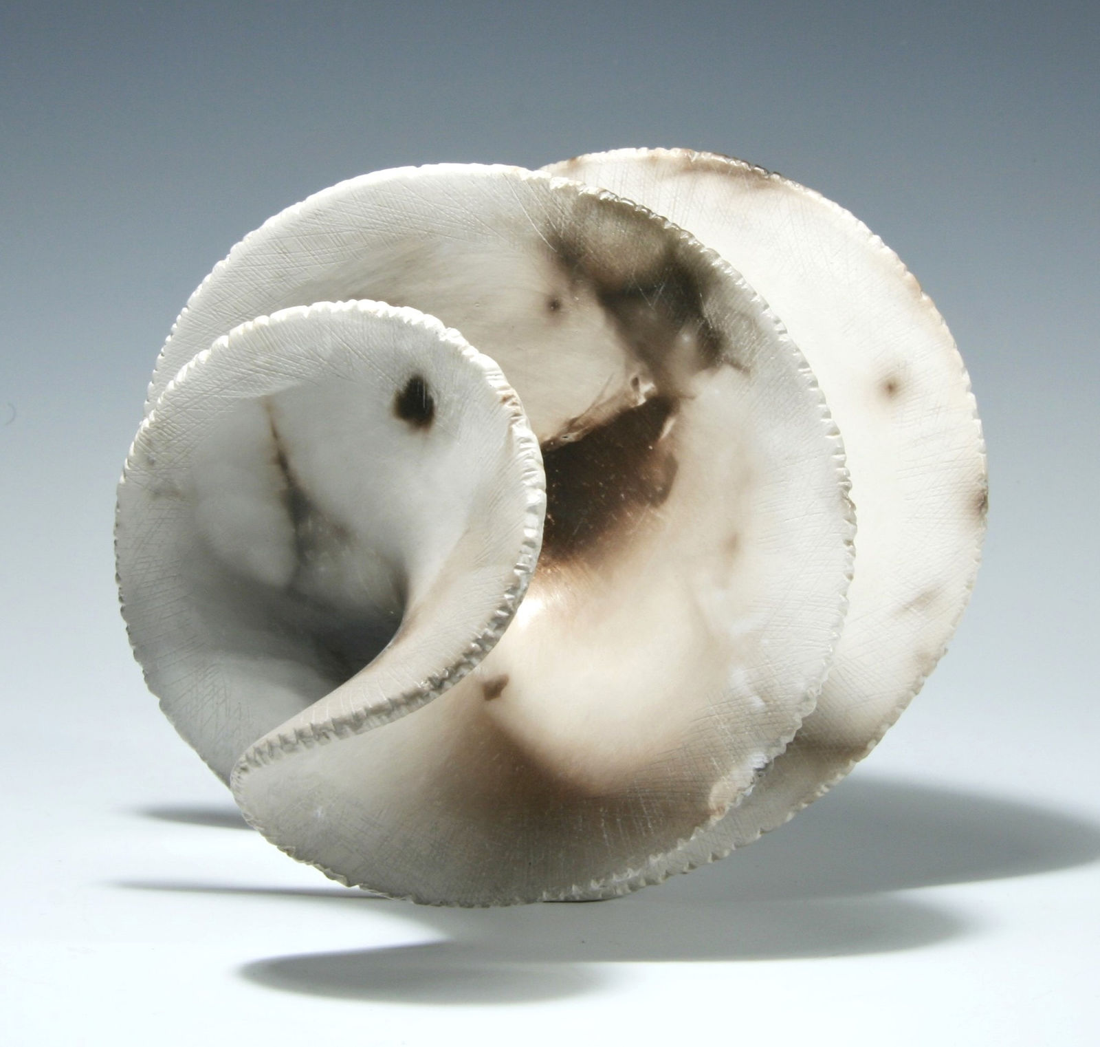 Antonia Salmon, Smoked Surge, 2023