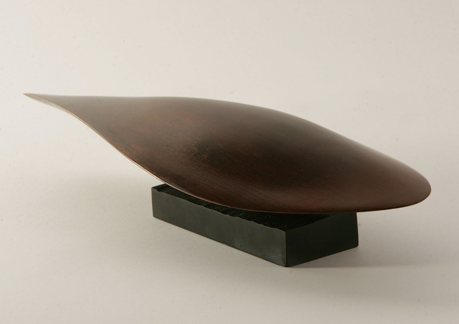 Geoff Jeal, Fallen Seed, 2014