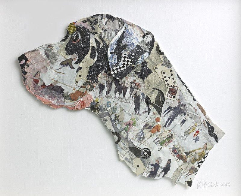 Peter Clark, Head Harlequin