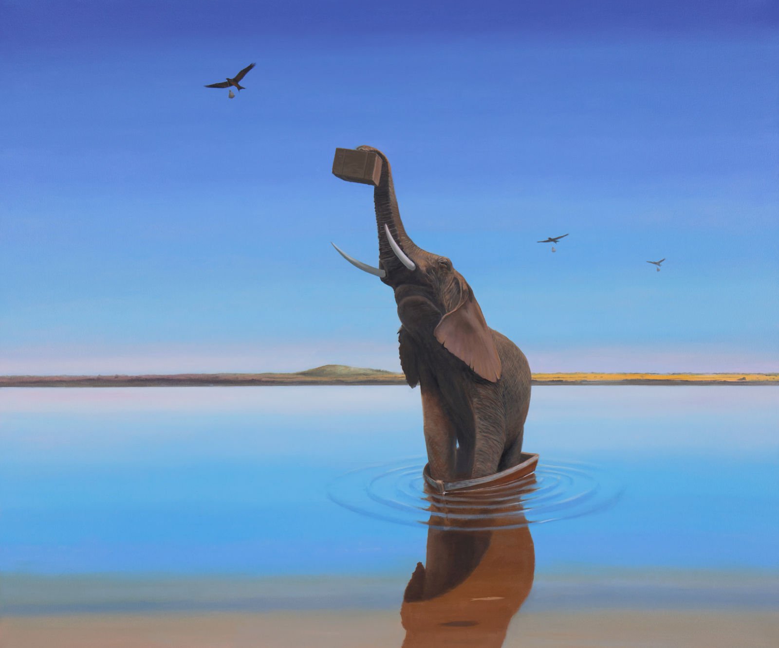 Gordon Mitchell, Asylum Seekers