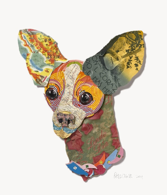 Peter Clark, Chi Chi