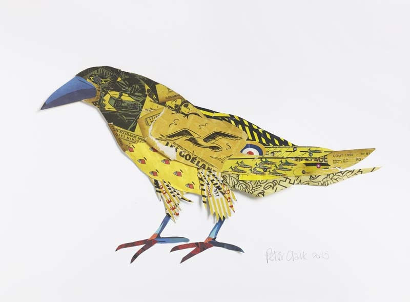Peter Clark, Yellow Crow