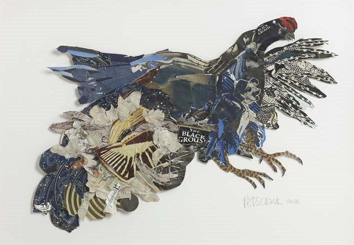 Peter Clark, Blue-Black Lek