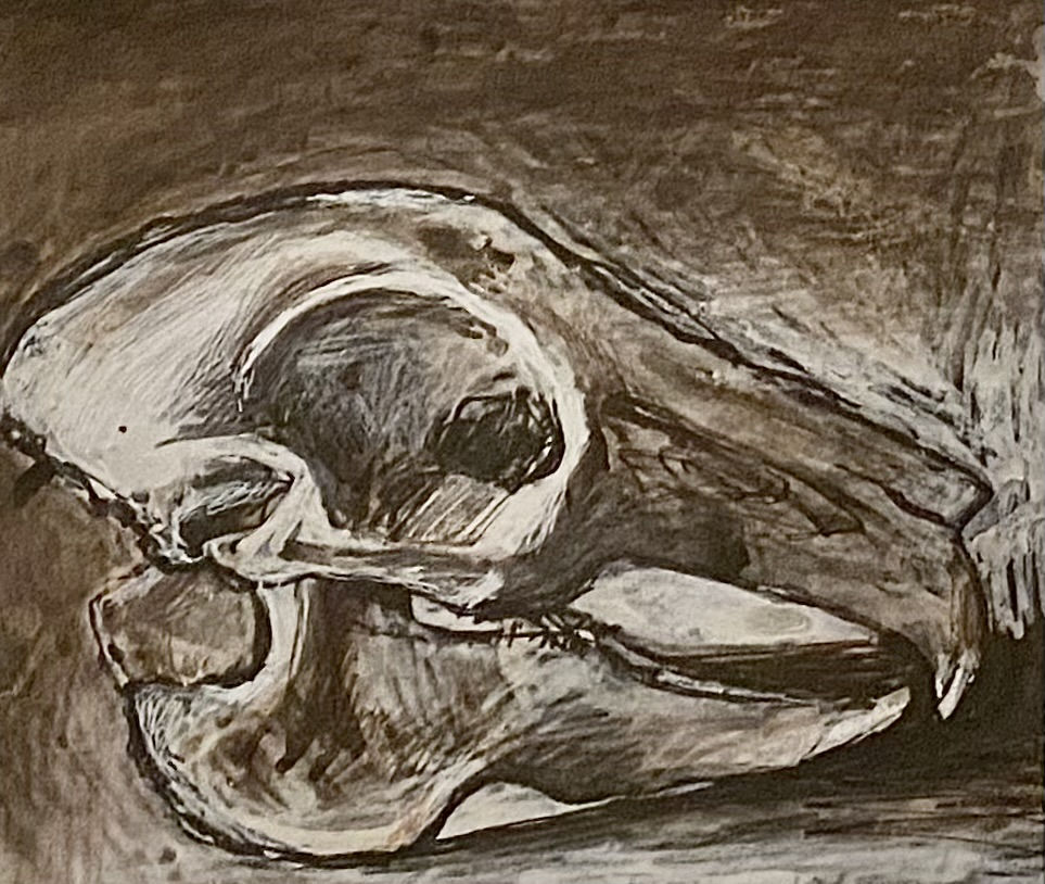 Tom Wood, Skull II , 1989