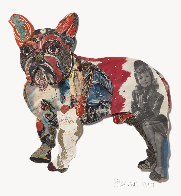 Peter Clark, Curve Appeal