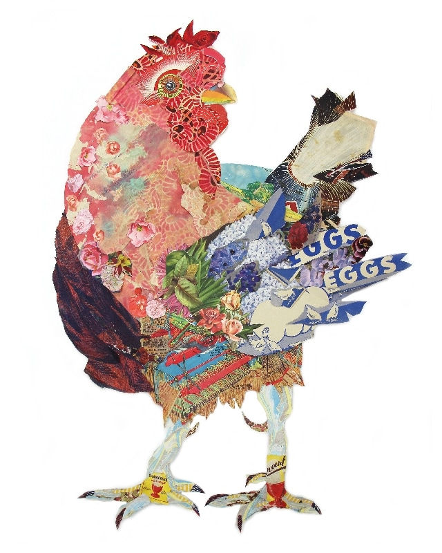 Peter Clark, Chicken in Full Bloom
