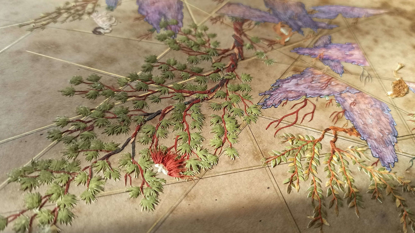 Saliha Beyza Umurca, Yeryüzü / Earth, 2021