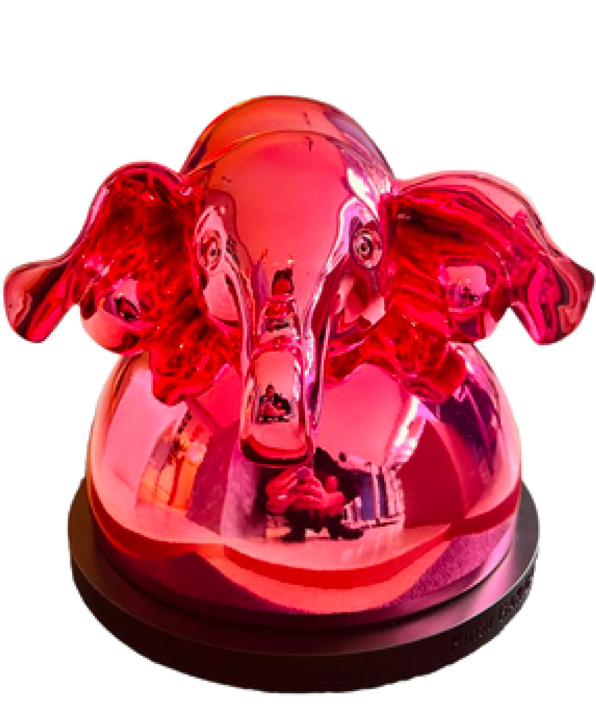 Pınar Garibağaoğlu, Beyond Imagination