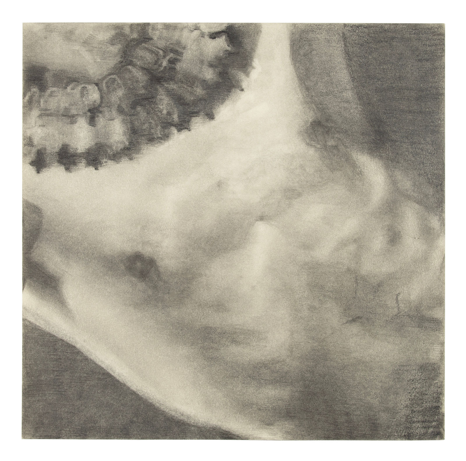 Richard Maguire, Torso (after Van Vechten), 2024