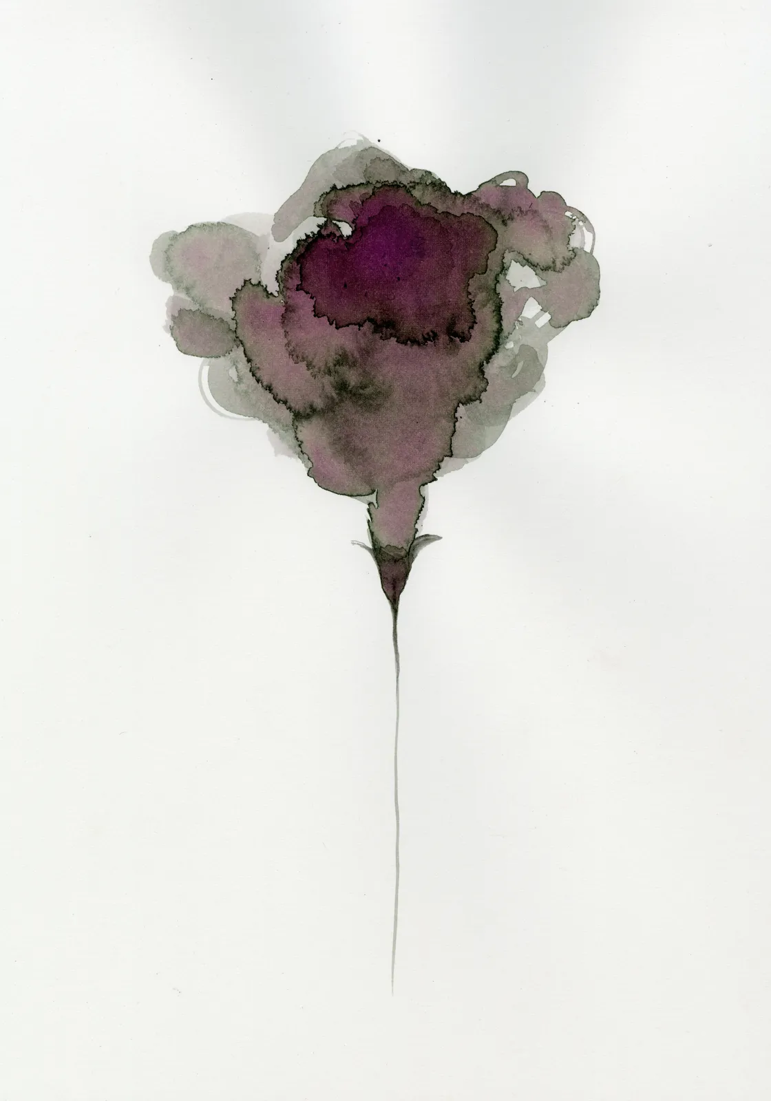 Yuri Shimojo, Fog Flower, 2023