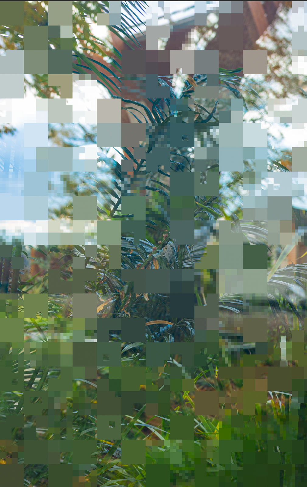 Joiri Minaya, Tropticon II, 2025