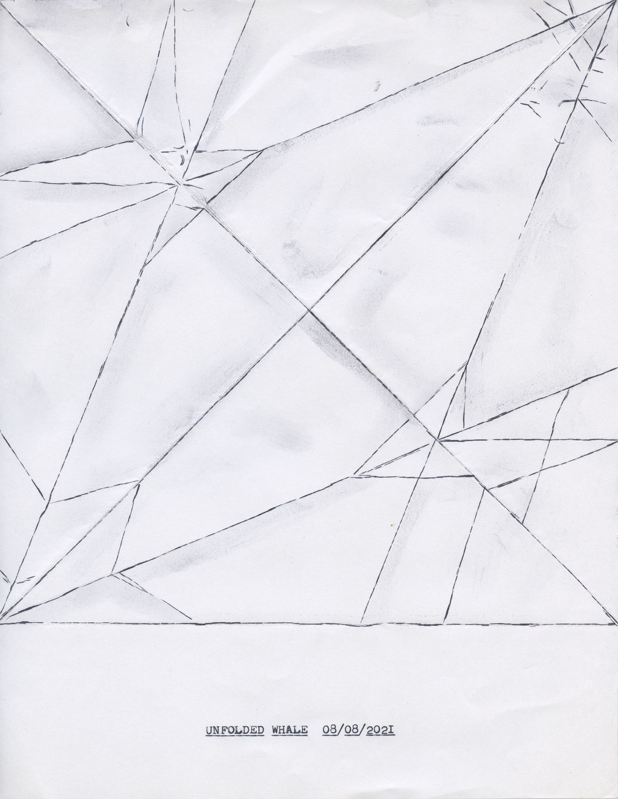 Lenka Clayton, Unfolded Whale 08/08/2021, 2021