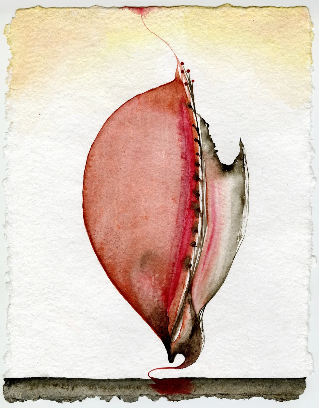 Yuri Shimojo, Autumn Sailing, 2017