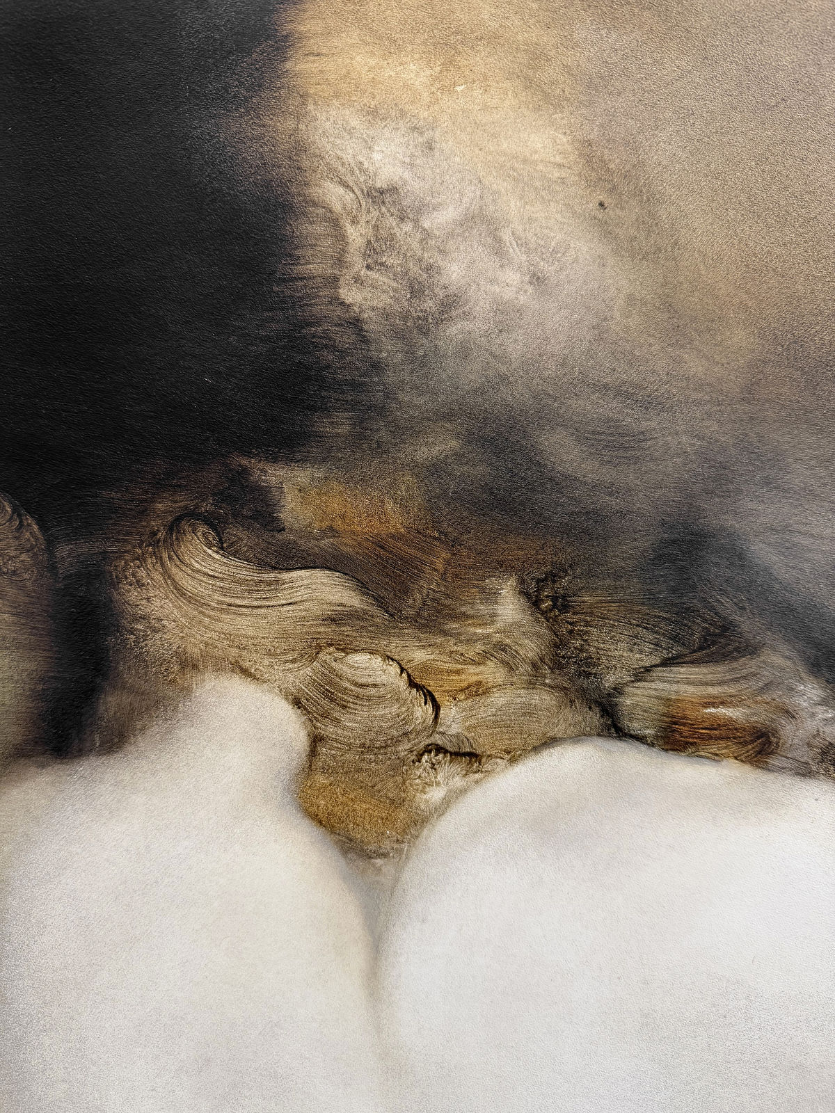 Anide, La balade du fou, 2025