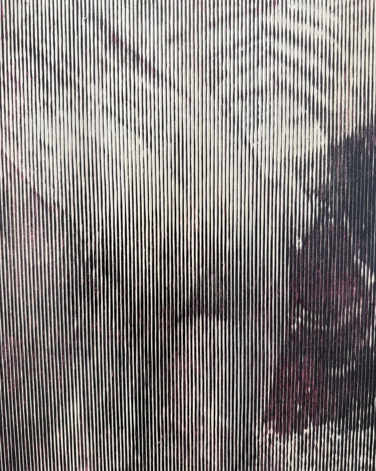 Morgane Ely, Sarah Jessica Parker falling into Central Park lake, 2024