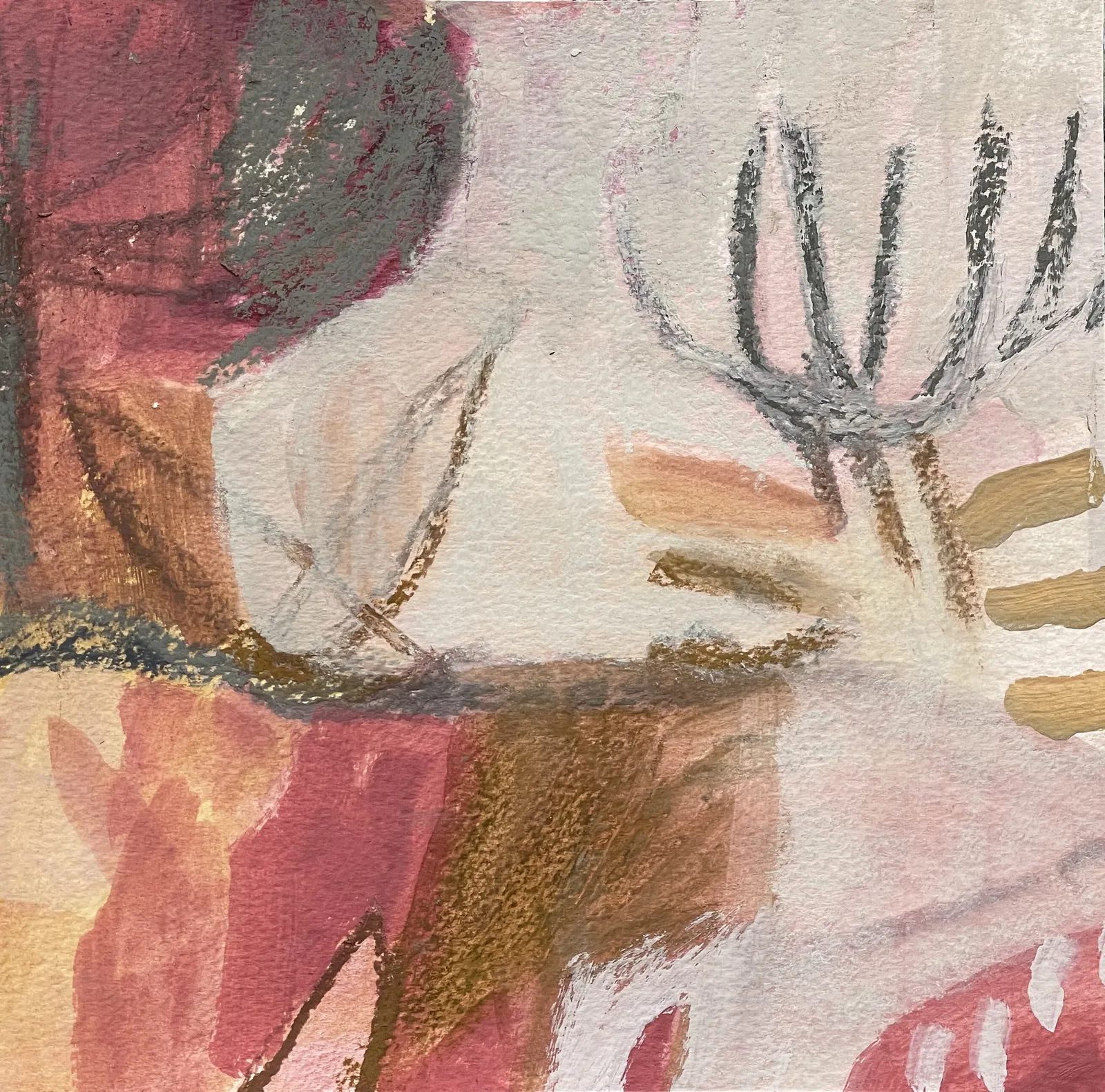 Dana Finch, Allotment, 2026